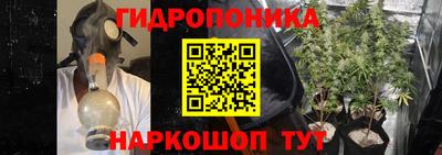 a pvp Гусиноозёрск